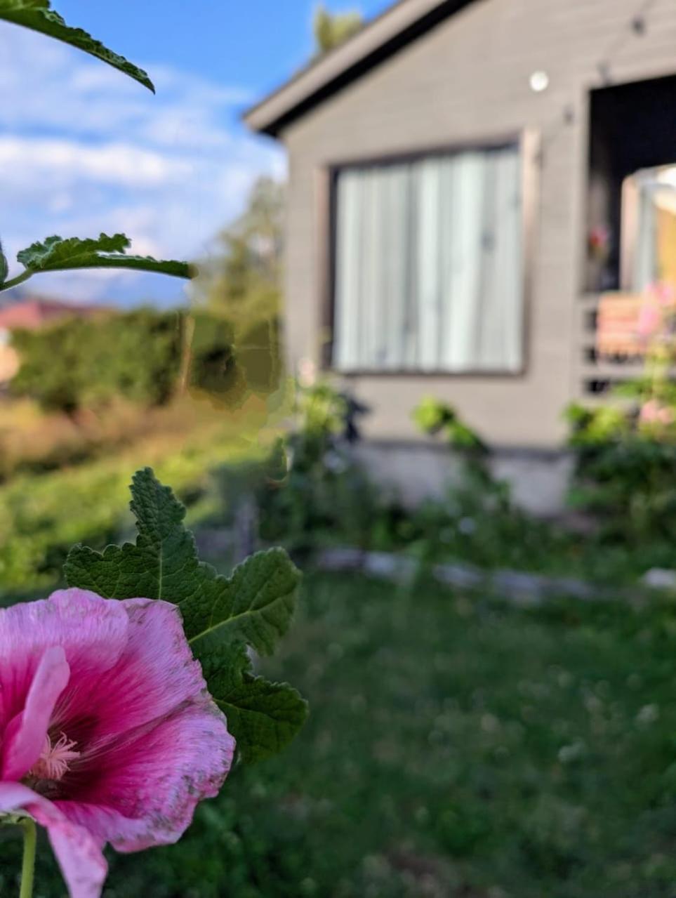 Cottage Kazbegi Sioni Eksteriør billede